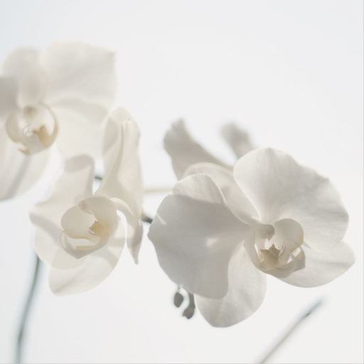 Para 2 personas: acceso de 1 hora a zona wellness con masaje relajante de 50 minutos – Wellness Radisson Bilbao