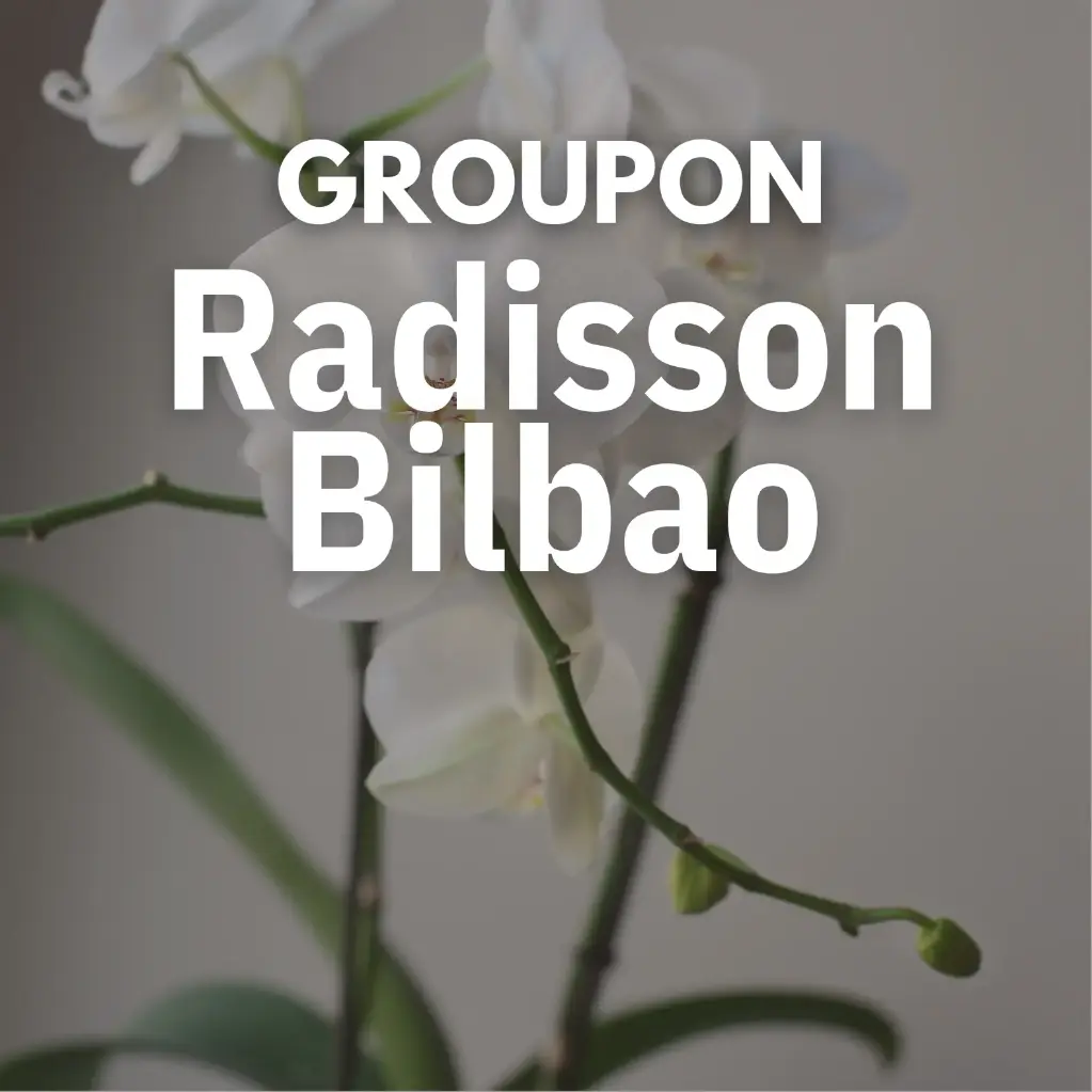 Para 2 personas: acceso de 1 hora a zona wellness con masaje relajante de 25 minutos